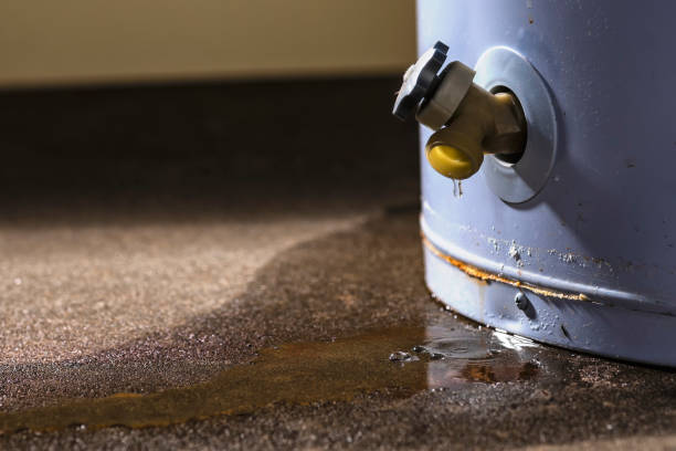 Best 24-hour water damage restoration  in Natalia, TX