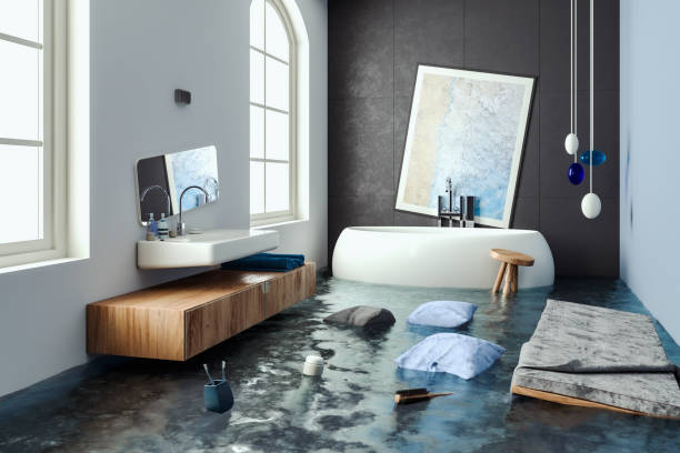 Best Water damage restoration experts  in Natalia, TX