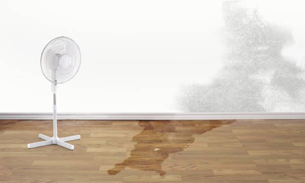 Best Sewage cleanup and water damage restoration  in Natalia, TX