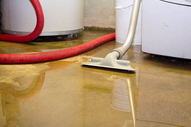 Best 24-hour water damage restoration  in Natalia, TX