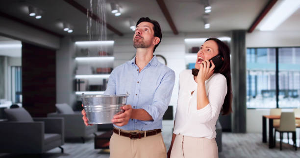 Best Sewage cleanup and water damage restoration  in Natalia, TX